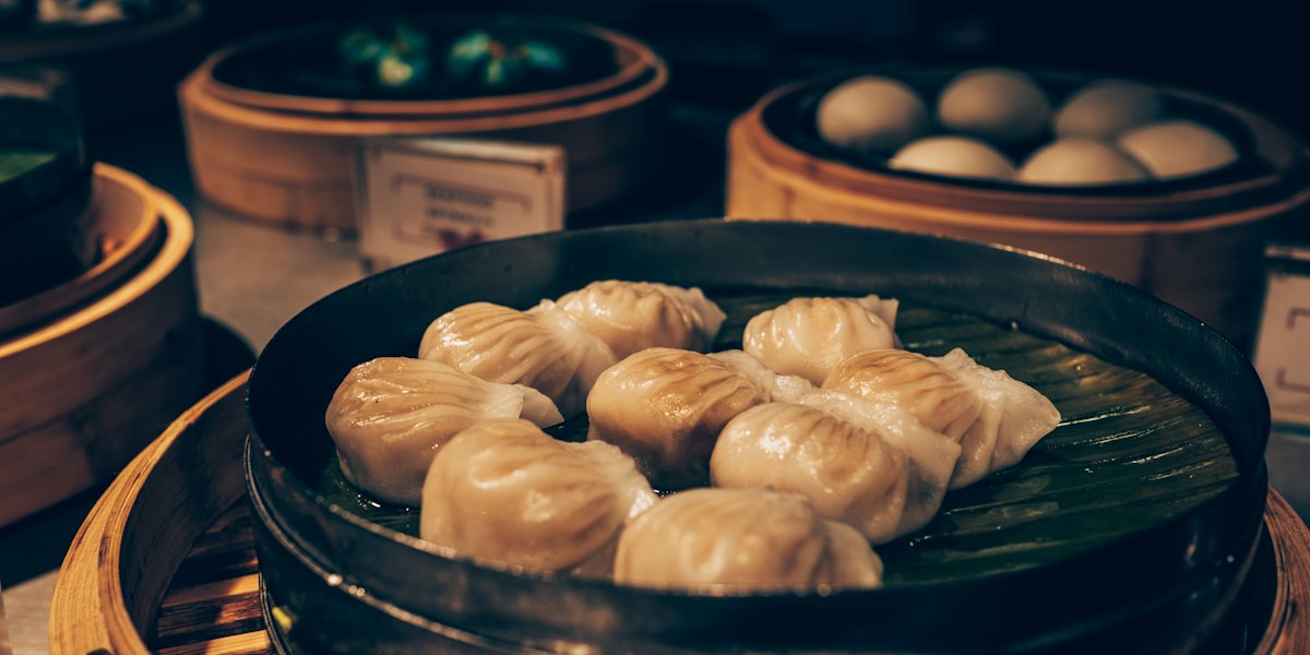 Deep Fried Dumplings